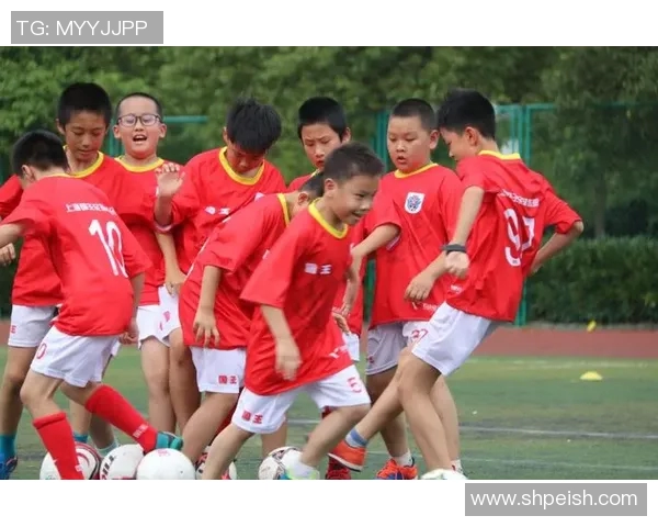 对话王娜：从球场到人生的转折与成长之路